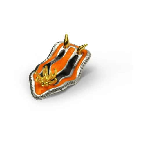 nudibranch