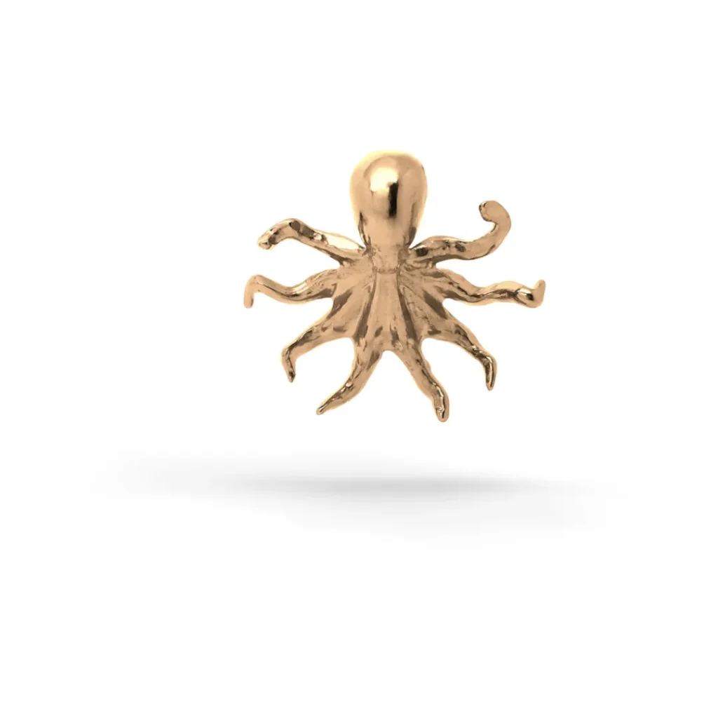 octopus